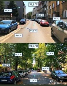 1655657721249.jpg
