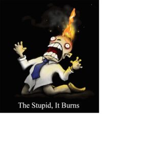 stupburn.jpg