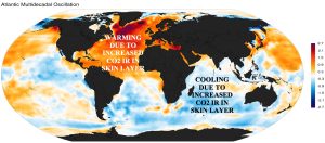 AMO CONTRAST MGC.jpg