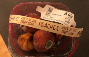 Rotten Spoiled Food