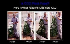 co2good0.jpg