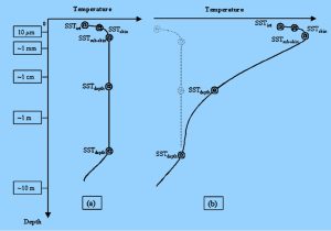 skin surface day night.jpg