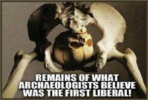 1stlib0.jpg