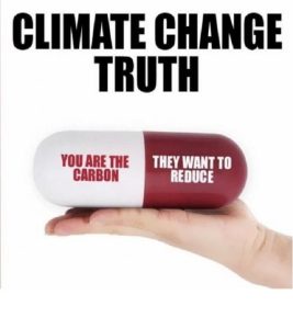 CCtruth.jpg