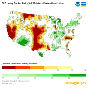 cpc-leaky-bucket-daily-soil-moisture-percentiles-(1.6m)-08-18-2022.png