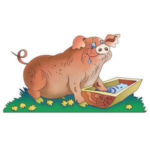 hogtroug.jpg