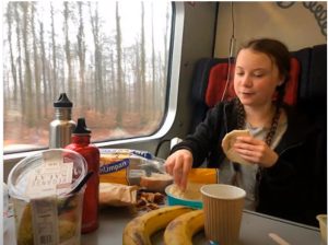 Climate activist only travels using green energy.jpg