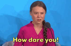 How Dare You Greta Thunberg gif.gif