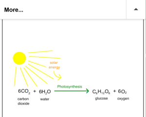 Screenshot 2022-09-22 at 00-37-27 Crop progress from Sept 19 2022 report - MarketForum.png