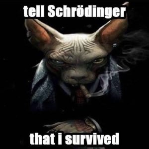 schrodinger.jpg