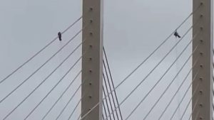 127222907_bridge.jpg.jpg