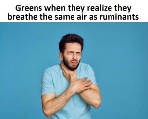 greenai0.jpg