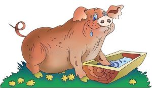 hogtroug.jpg