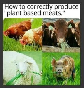 vegafoo0.jpg