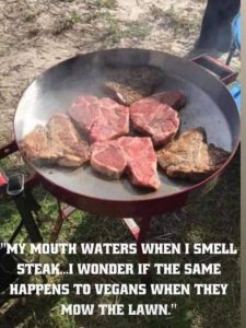 vegsteak.jpg