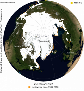 BlueMarble_1[1].png