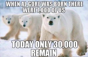 Today-Only-30000-Remain-Funny-Polar-Bear-Meme.jpg