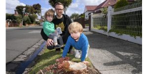Melbourne Tree Felling for Green Vehicles