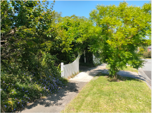 Screen Shot 2022-12-20 at 10.57.05 am.png