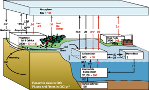 carbon_cycle2[1].png