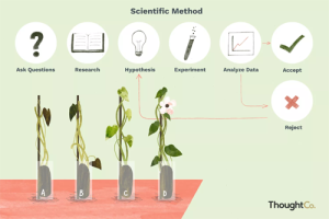 scientific-method.png