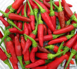 birds eye chillis.JPG