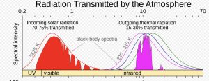 01D12060-027B-4D88-A5DF-EA60EE9BF6E7.jpeg