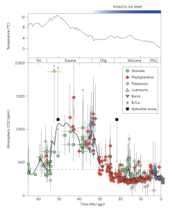 Beerling and Royer.png