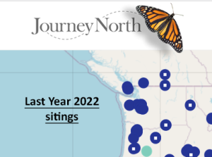 Washington-State-Monarchs-2022.png