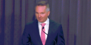 Aussie Climate Change and Energy Minister Chris Bowen