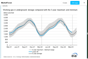 Screenshot 2023-03-31 at 22-44-08 NG 3-14-23 - MarketForum.png
