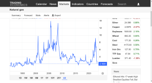 Screenshot 2023-04-01 at 11-34-36 Natural gas - 2023 Data - 1990-2022 Historical - 2024 Forecast - Price - Quote - Chart.png