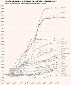 cumulative-excess-deaths-per-million-since-january-2020[1].jpeg