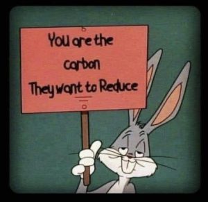 You are the carbon.jpg