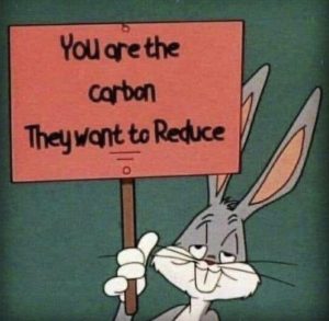 You are the carbon they want to reduce.jpg