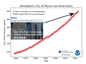 co2_fossil fuels.png