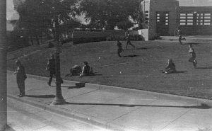grassy knoll.jpg
