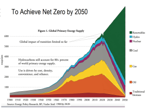Net Zero by 2050.png