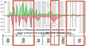 decline paleo phytopplankton trend.png