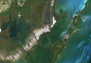 Manatee bay, 4.jpg