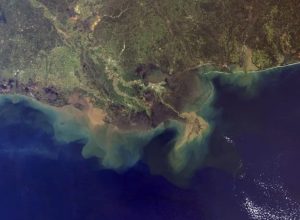 Mississippi_River_Plume_5.jpg