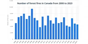Forest-Fires-Canada