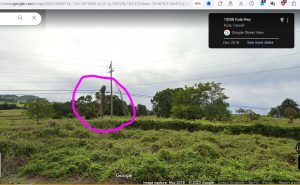 Hawaii Electric Tree.JPG