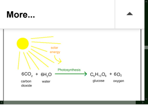 Screenshot 2023-08-10 at 12-48-22 Death by GREENING! - MarketForum.png