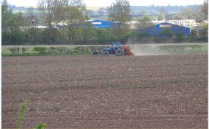 Tillage.JPG