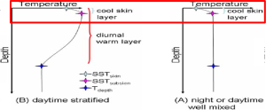 skin layer diurnal cycle.png
