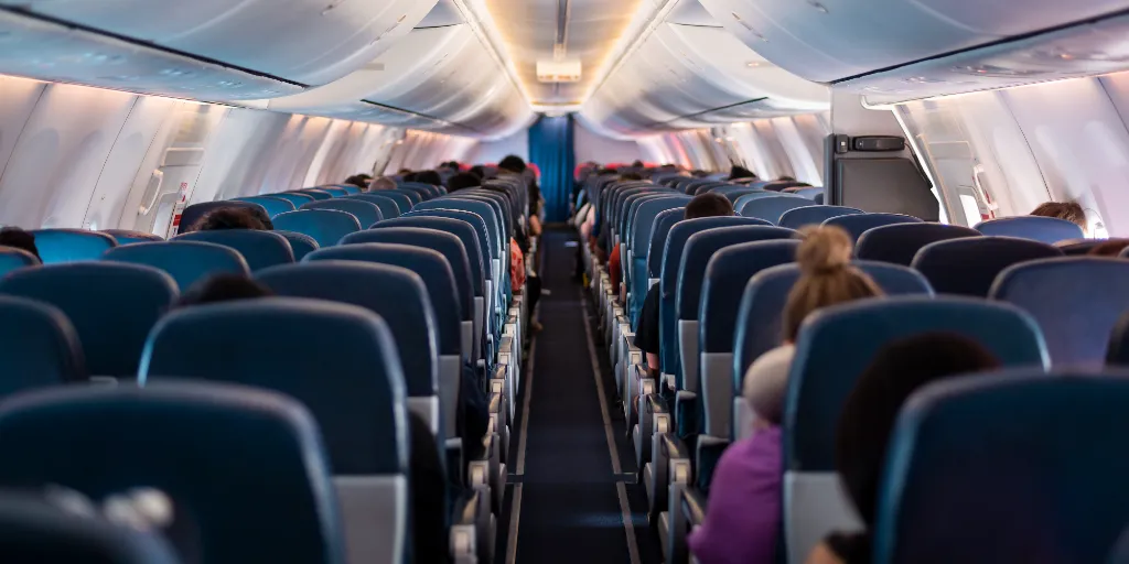 UK Telegraph: The French plan to save the planet? Stop poorer people flying – Seeking 'a minimum price for airfares within the EU in a bid to reduce the number of flights' to reduce CO2 emissions • Watts Up With That? - Vimarsana News