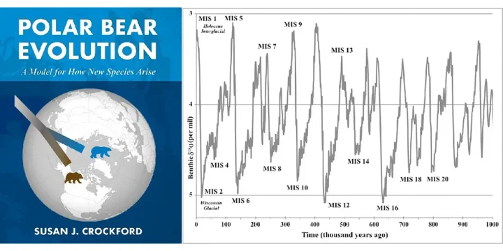 Cover-and-glacial-graph-composite-1 (1)