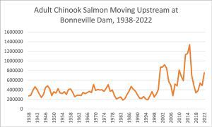 Adult Salmon Returns.jpg