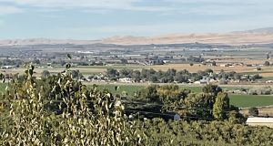 IMG_0719.jpeg